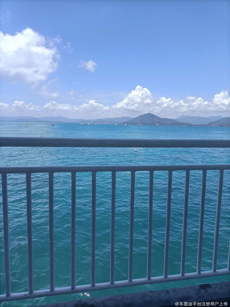 饭团子