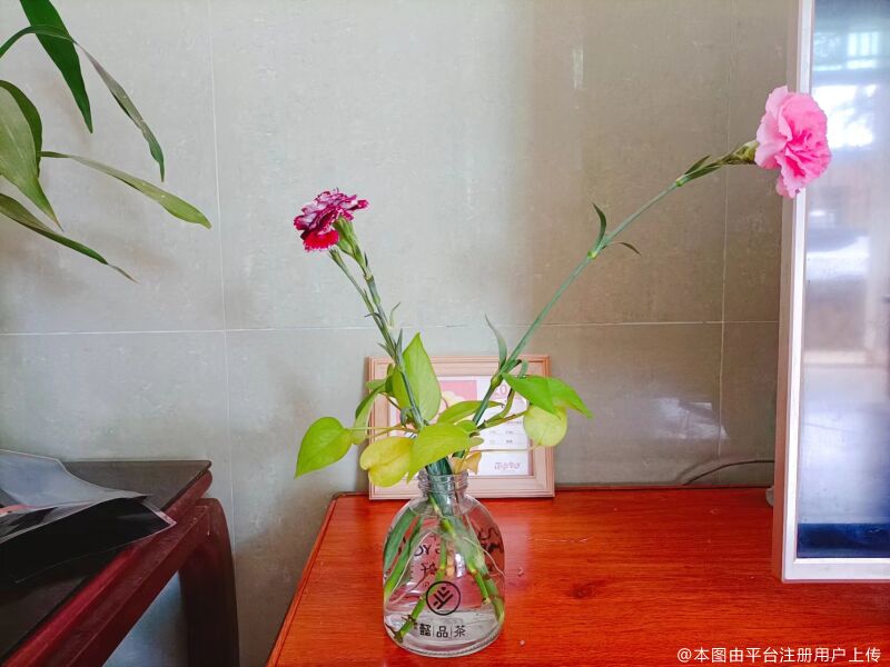 香芋巧克力