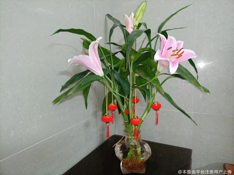 过往入尘土