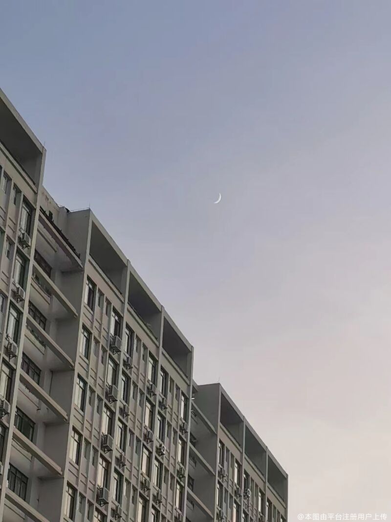 树深时见鹿