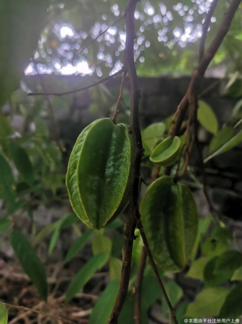 把你藏心里