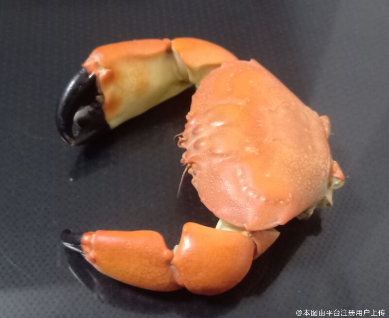 雪起风沙痕