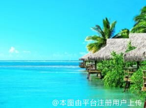 翱翔的小鸟