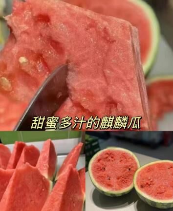 冰与火的浪漫