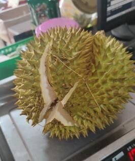 拿什么整你