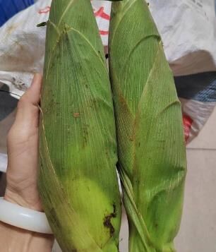萌战必胜
