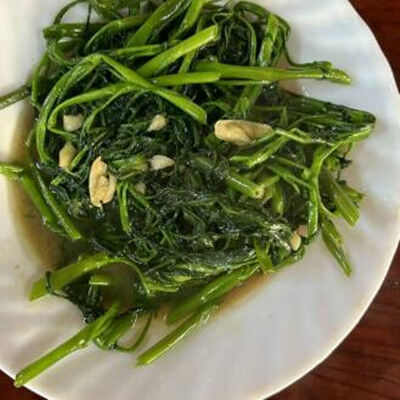今晚麻将局