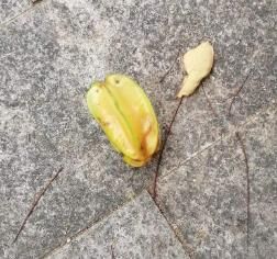 看看上课啊
