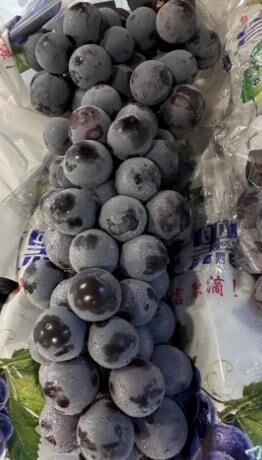 蓝调魅影