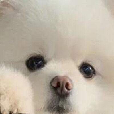 这是哪个小可爱