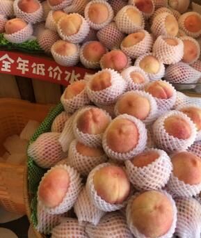 浮生未歇