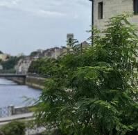 洛杉矶西海岸