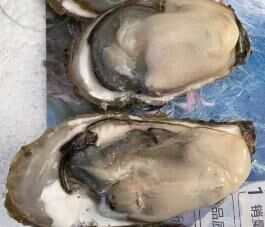 没来看你