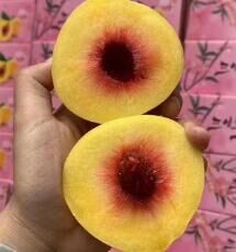 你想买个