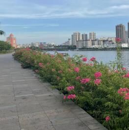油管点击