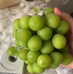你们俩烦恼