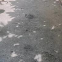 就扣罚款了