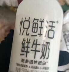 像鱼一样