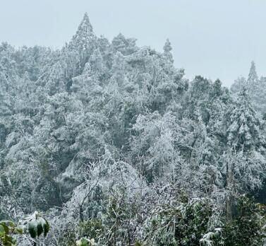 江南雪景