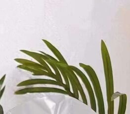 怪怪的记得