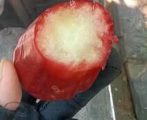 哦哦婆媳
