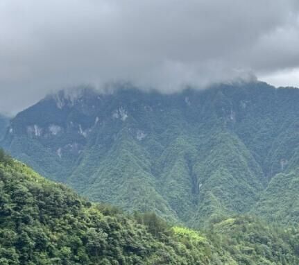 配电板蓝泡泡