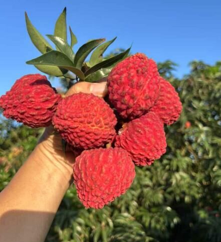 可可爱爱的人