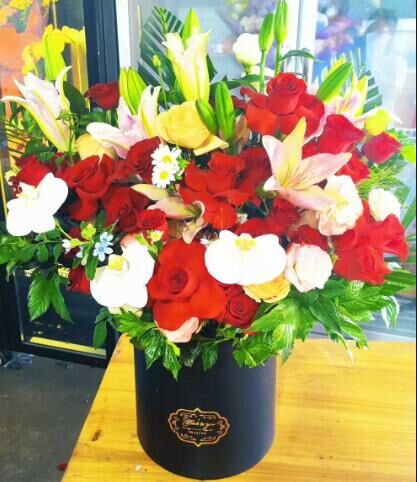 人生总是好多无奈