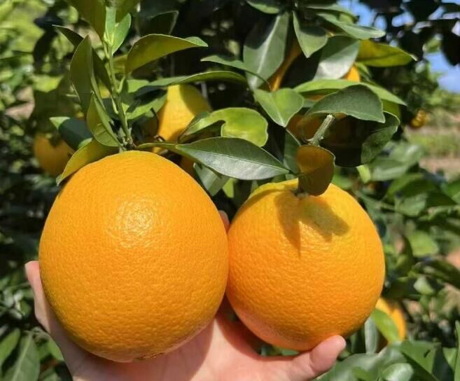 今天的开心是自己给的