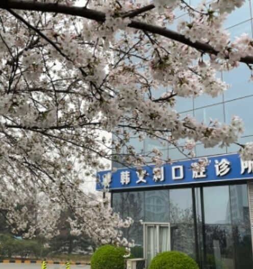 北京韩文利口腔诊所